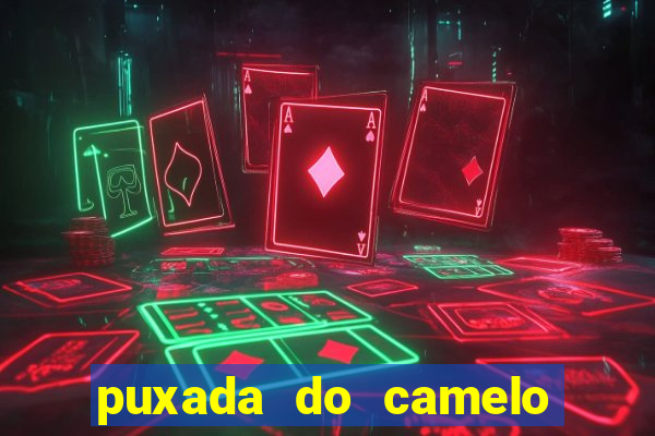 puxada do camelo jogo do bicho