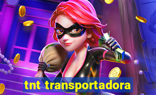 tnt transportadora