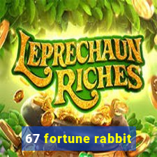 67 fortune rabbit