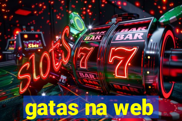 gatas na web