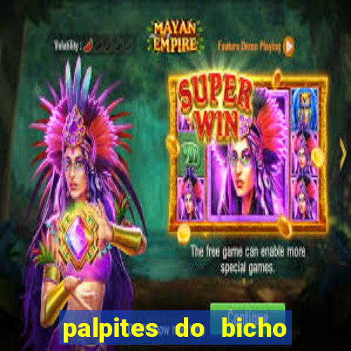 palpites do bicho no celular