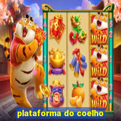 plataforma do coelho