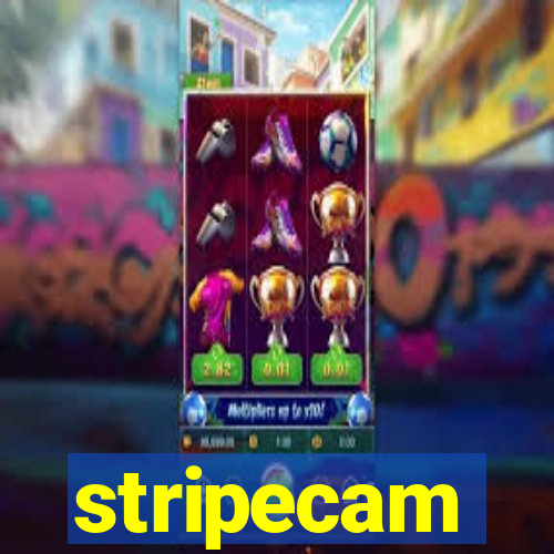 stripecam