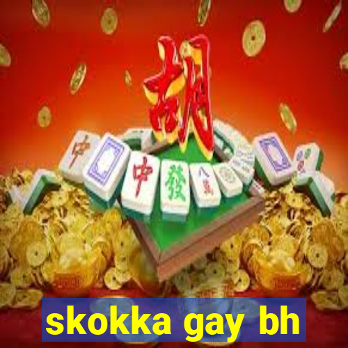 skokka gay bh