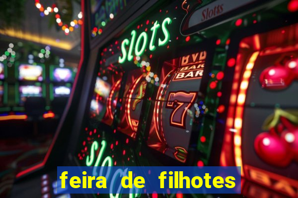 feira de filhotes porto alegre