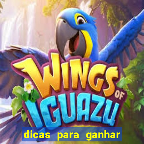 dicas para ganhar no jogo aviator