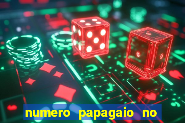 numero papagaio no jogo do bicho