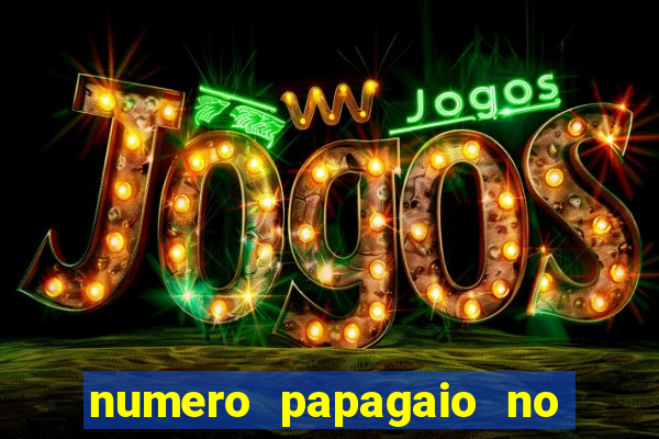 numero papagaio no jogo do bicho