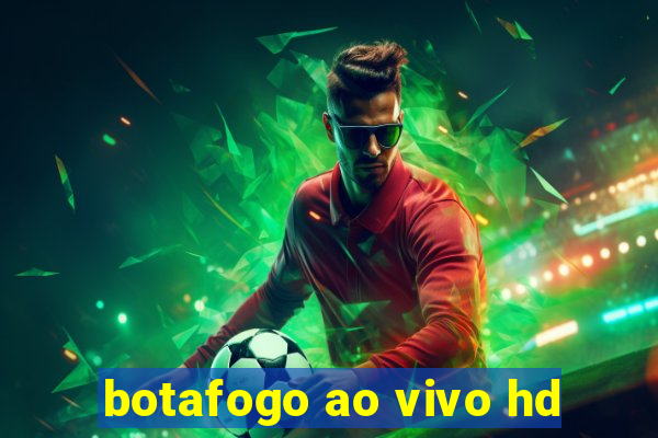 botafogo ao vivo hd