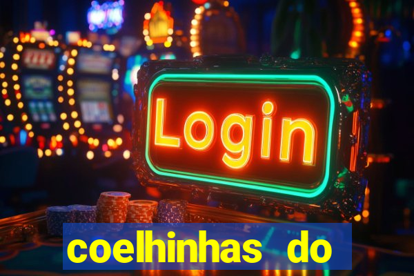 coelhinhas do brasil recife