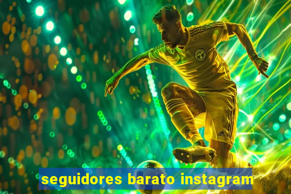 seguidores barato instagram