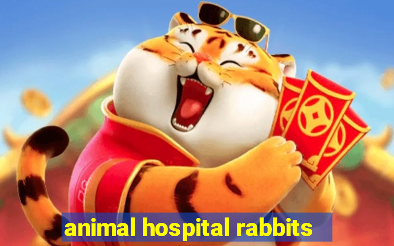 animal hospital rabbits