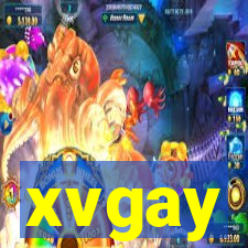 xvgay