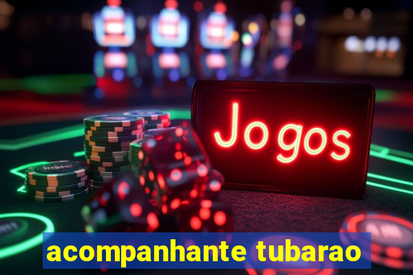 acompanhante tubarao