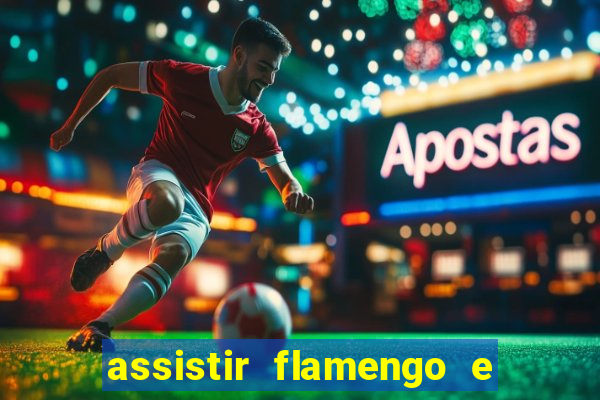 assistir flamengo e atlético mineiro