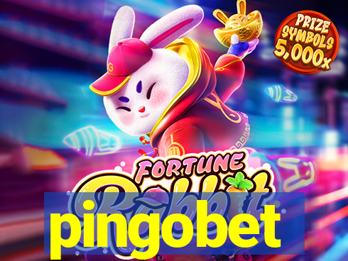 pingobet