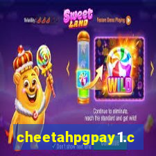 cheetahpgpay1.com