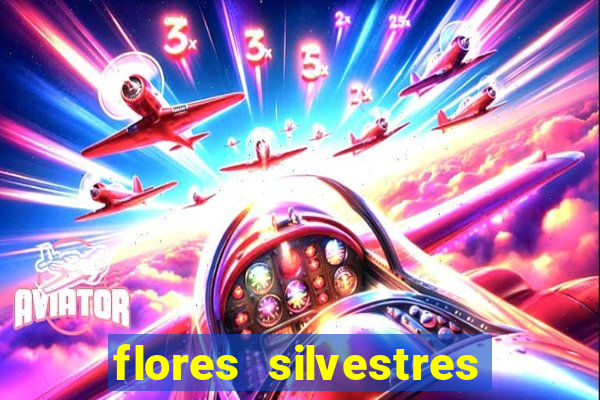 flores silvestres desbravadores desbravadores 25 flores silvestres e seus nomes