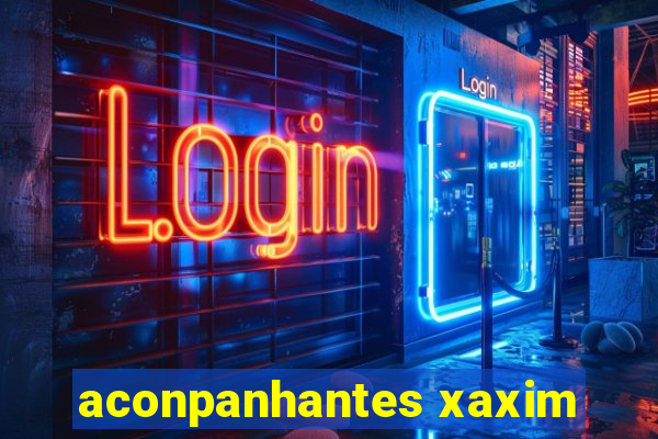 aconpanhantes xaxim