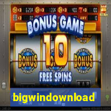 bigwindownload