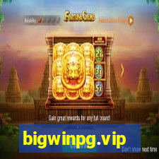 bigwinpg.vip