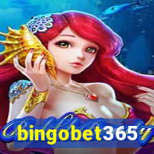 bingobet365