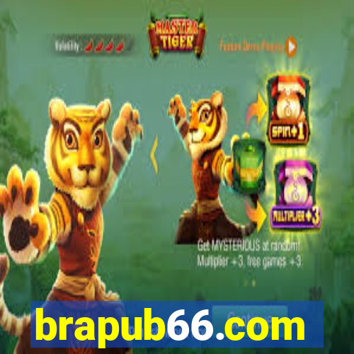 brapub66.com