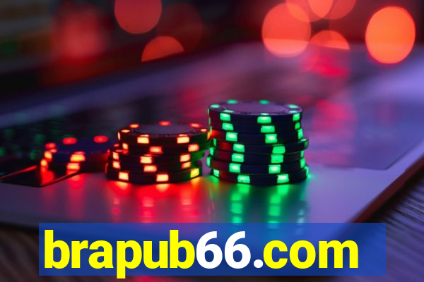 brapub66.com