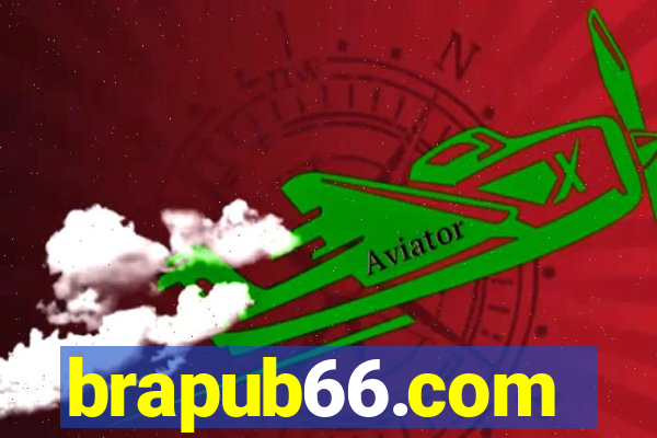 brapub66.com