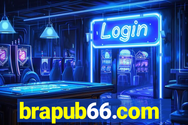 brapub66.com