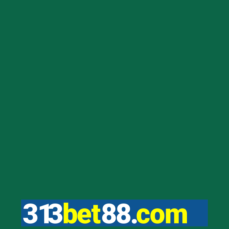 313bet88.com