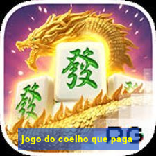 jogo do coelho que paga