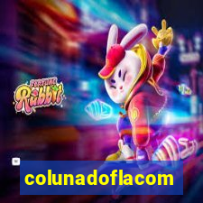 colunadoflacom