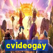 cvideogay