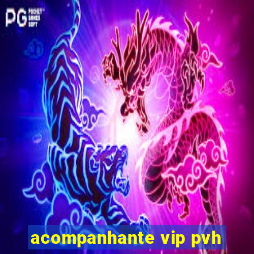 acompanhante vip pvh