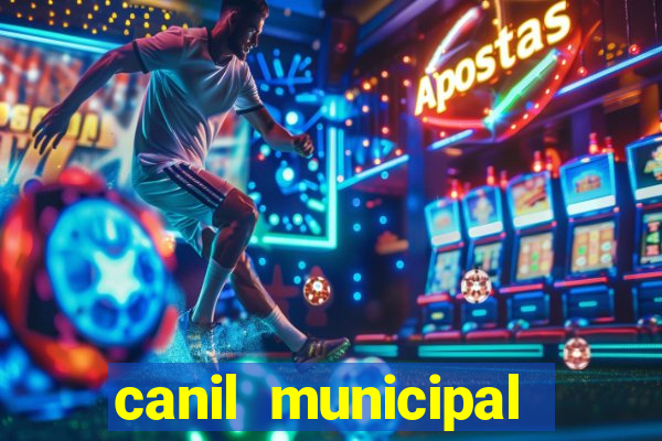 canil municipal porto alegre