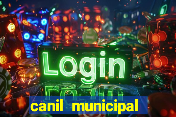 canil municipal porto alegre