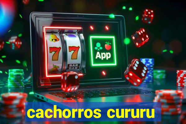 cachorros cururu