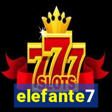 elefante7