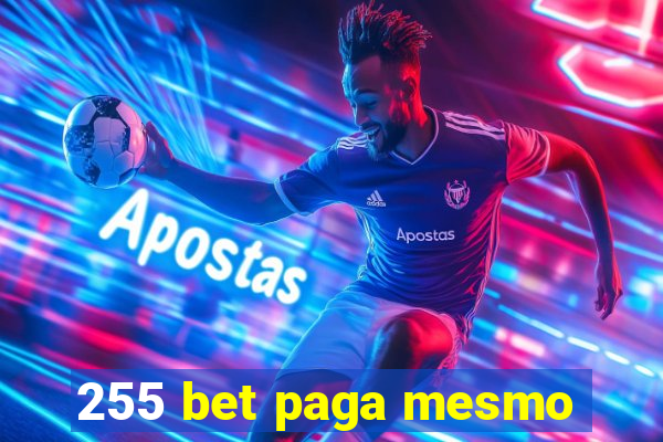 255 bet paga mesmo