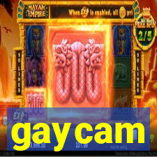 gaycam