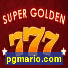 pgmario.com