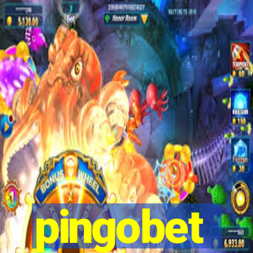 pingobet