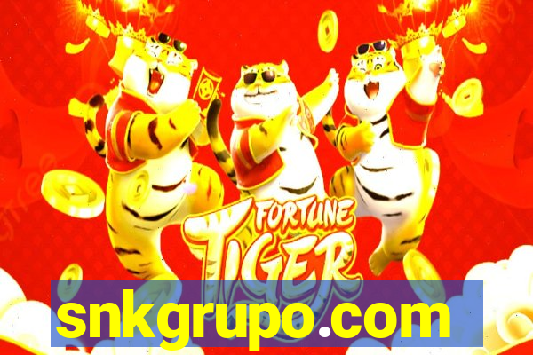 snkgrupo.com