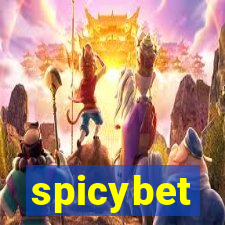 spicybet-2.com