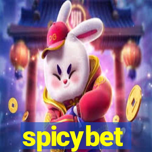 spicybet-3.com