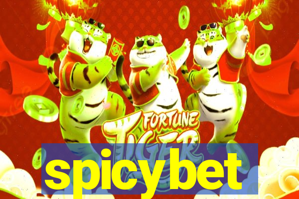 spicybet-4.com