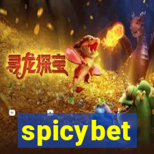 spicybet-5.com