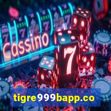 tigre999bapp.com