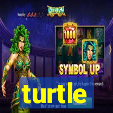 turtle-ty.com